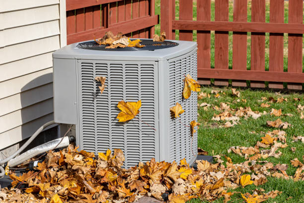 Best HVAC air duct cleaning  in Omaha, TX